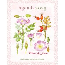Mattie agenda 2025